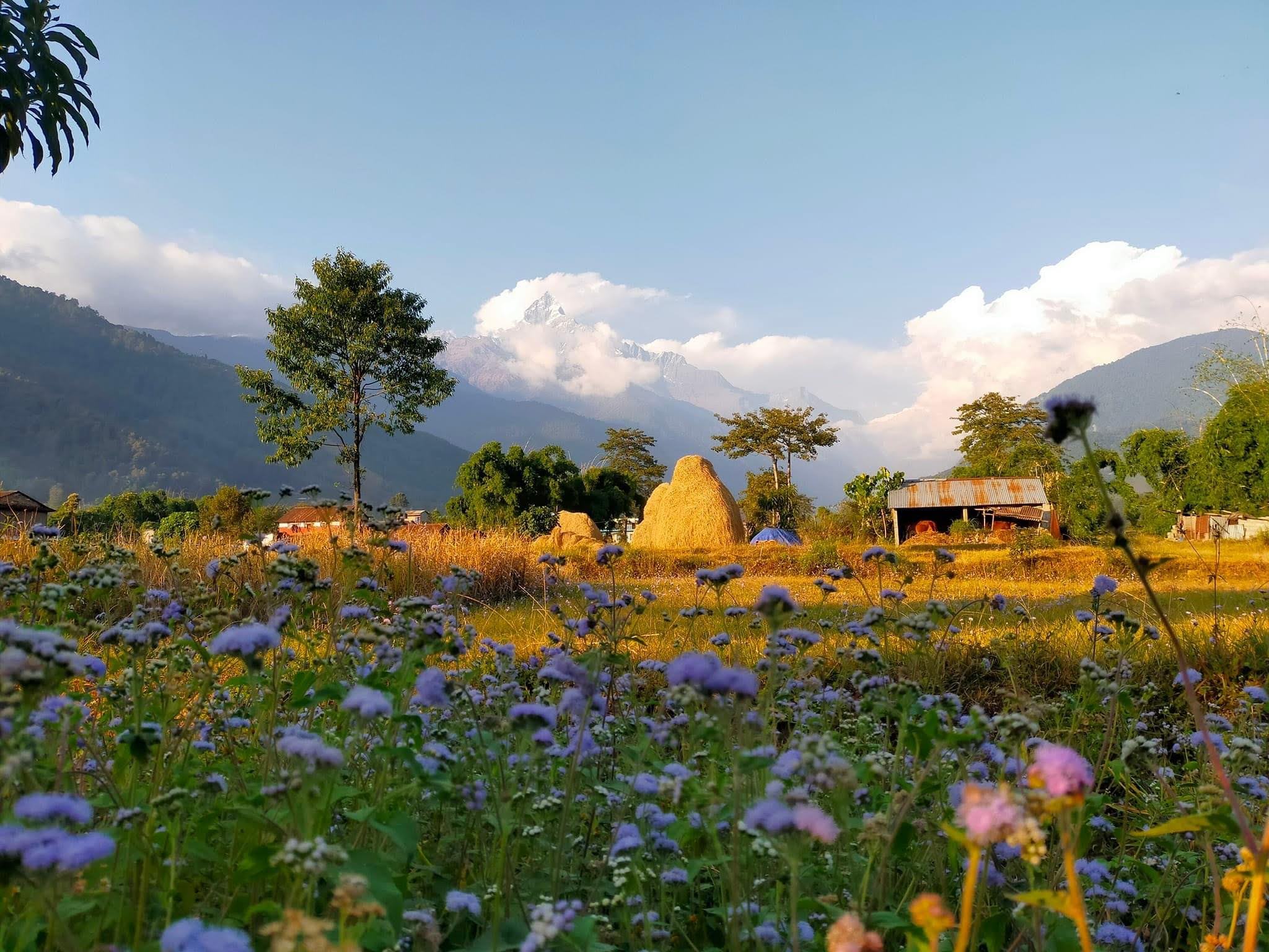 Ghachok nepal village view